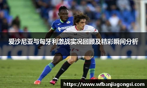 爱沙尼亚与匈牙利激战实况回顾及精彩瞬间分析